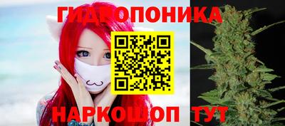 дмт Краснознаменск