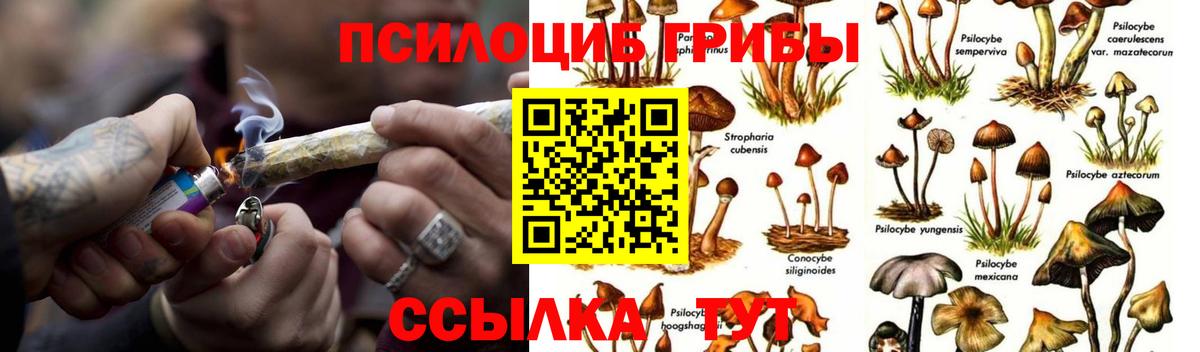 Псилоцибиновые грибы ЛСД  где купить наркотик  Кирово-Чепецк  Вход с VPN 